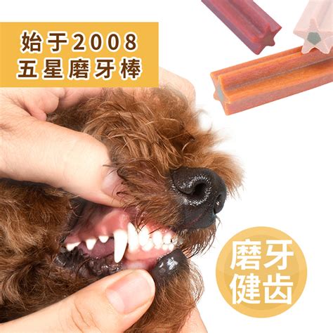 人狗胶配方大全狗狗一：让你的爱犬健康快乐的秘密武器