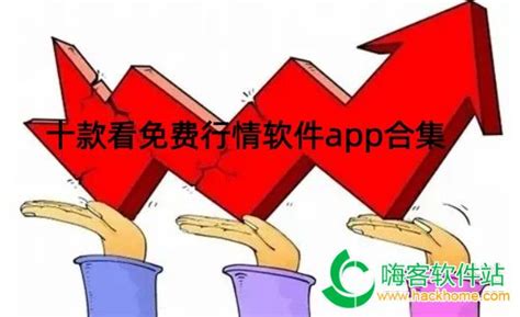 内容丰富免费的行情站app入口-助你把握市场脉搏