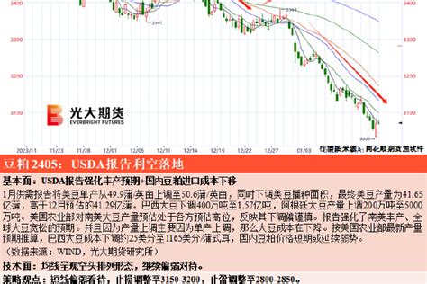 美国zoom与动物zoom：它们的联系与差异是什么-未来发展如何影响我们的生活