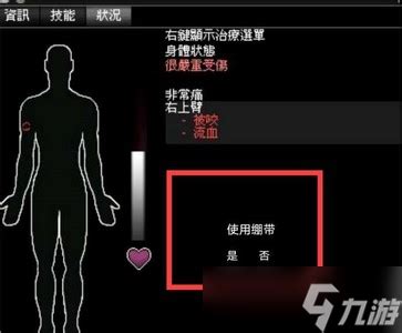 僵尸毁灭工程win11打不开游戏怎么办-常见问题及解决方案解析