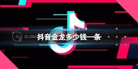 抖音金龙价格介绍：副本挑战评分机制与高分技巧