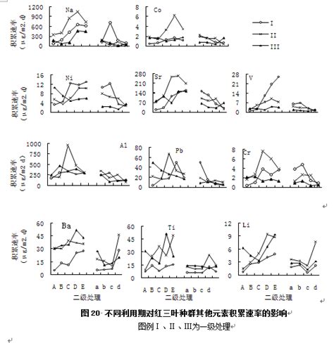 “三角地”里的新晋红：三叶草研究实验室