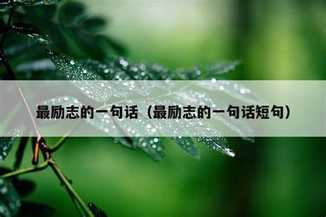 麦子交换系列最经典十句话：人生智慧的启迪