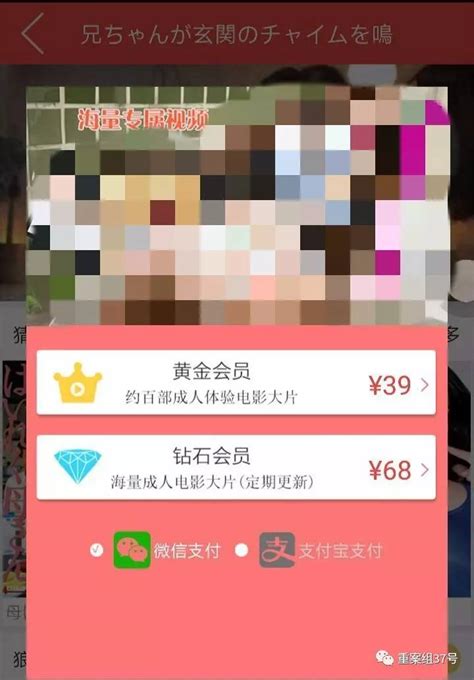 91在线无码精品秘-国产：优质在线影视内容分享平台推荐-全新体验！