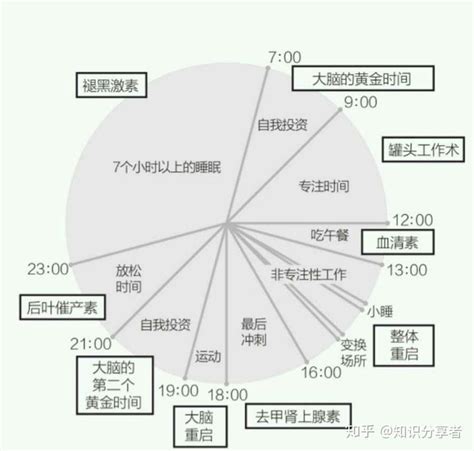 “啊 日出水了 用力app”是如何帮助用户高效管理时间和任务的？