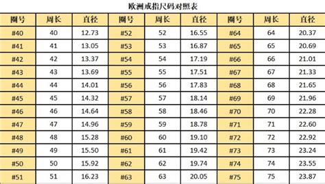 如何正确选择欧洲、日本、美国与lv尺码-了解各国尺码差异与转换技巧：避免选错尺寸的购物指南