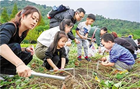 探索性生生活12分钟免费活动-享受短时间内极致体验-助你提升生活质量