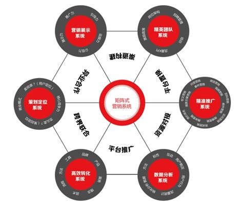 成品crm999：拥有独特优势与创新应用提升内容管理与营销效果