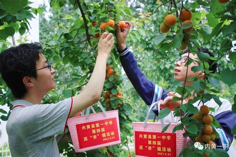 杏吧是什么？如何在杏吧中找到志同道合的朋友？